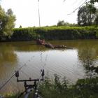 Fotka nr 3 z 15
