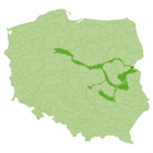 Występowanie Babki Łysej w Polsce