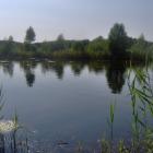 Staw 3