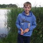 Staw 3