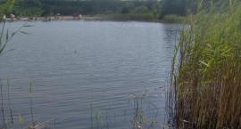 Staw 2