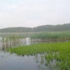 Widok z jednej z kładek.