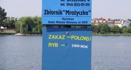 Fotka nr 0 z 1