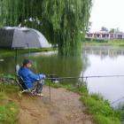 zdjęcie nr 7