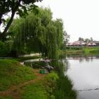 zdjęcie nr 7