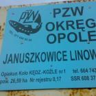 zdjęcie nr 10