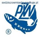 zdjęcie nr 11