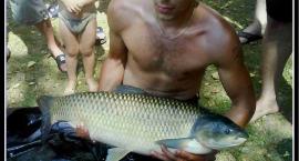 amur 97cm złowiony 08.08.2009r