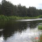zdjęcie nr 14
