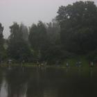 zdjęcie nr 4