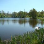 Zbiornik Browary II wiosną