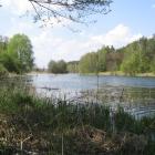 Zatoka zalewu gołuchowskiego
