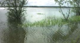 Fotka nr 0 z 17