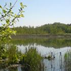 zdjęcie nr 11