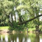 zdjęcie nr 41