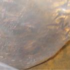 Fotka nr 4 z 13