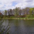 zdjęcie nr 13