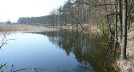 Łacha ,,Podkowa