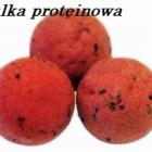 Kulka proteinowa