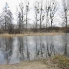 Czyste jeziorko, tylko ciekawe jak długo?