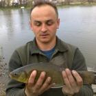 Lin 39 cm, waga 0,7 kg