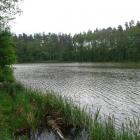 Fotka nr 5 z 8