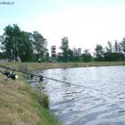 zdjęcie nr 47