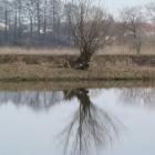 zdjęcie nr 6