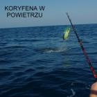 Fotka nr 2 z 19