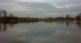 staw 
