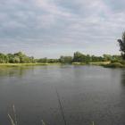 Odra Wilków 2
