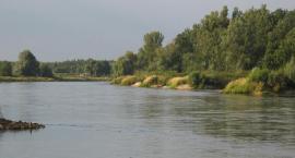 Odra Wilków 1