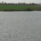 zdjęcie nr 7