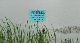 Fotka nr 0 z 1