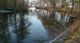 Dolna Płonia