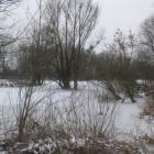 zdjęcie nr 9