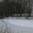 zdjęcie nr 16