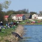 zdjęcie nr 11