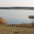 zdjęcie nr 8