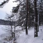 j. Rybackie