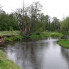 Fotka nr 1 z 4