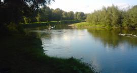 Piękne :)