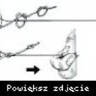 Fotka nr 0 z 9