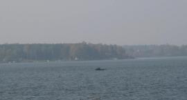 Poraj