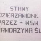 zdjęcie nr 27