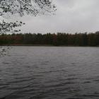 zdjęcie nr 8