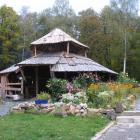 Fotka nr 1 z 3