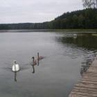 Fotka nr 1 z 3