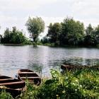 Fotka nr 1 z 2