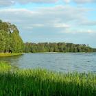 zdjęcie nr 5